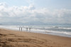 Tropical beach 1