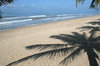 Tropical beach 3