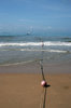 Beach buoys