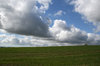 High Weald