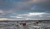 storm a brewing 