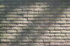 wall