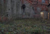 Urbex [hdr/tone mapping]
