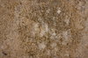 texture