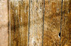 Wood texture