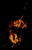 Fire 1
