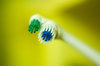 Tooth brush 1