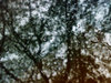 Raindrops on ...