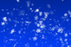 Snowflakes 2