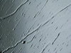 Raindrops 1