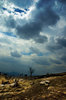 Before the storm