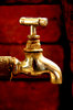The golden tap