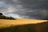 Summer storm