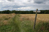 Country footpath