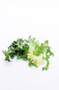 Salade serie # 2.