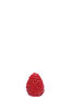 Lonely raspberry.