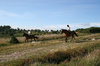 Riders