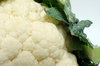 Cauliflower serie # 3 (detail)
