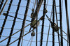 Rigging