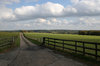 Farm lane