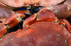 Crabs