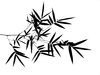 Bamboo Leaves