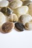 Pebbles