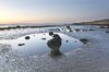 Heysham head sunset