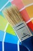 Paint Brush