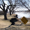 Riverbank