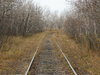 Railroad Tracks