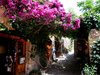 Monemvasia view