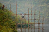 Bridge builders