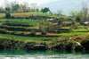 Farm