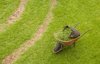 Wheelbarrow and grass
