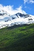 Snowy mountain and forest