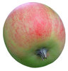 An apple