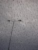 Lamppost in the rain