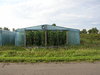 Greenhouse