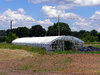 Greenhouse