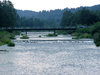 Local bridge