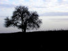 Loneliness