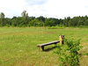 Wild soccer field