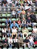 Crowd
