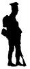 Old soldier