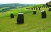 Haystacks