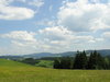 Mountain valley meadow