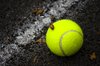 Tennis ball