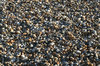 Shingle