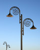 Ammonite lamps